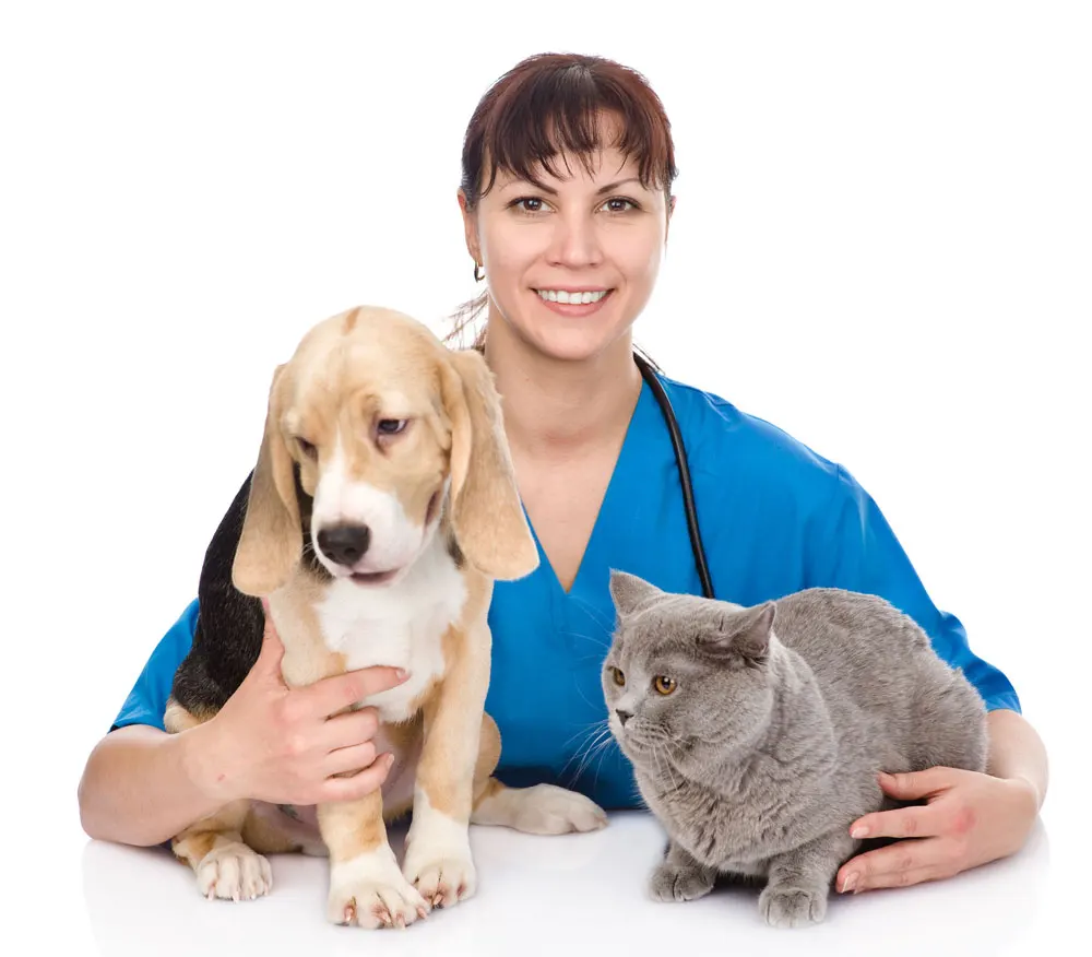 Pet Health & Wellness Care