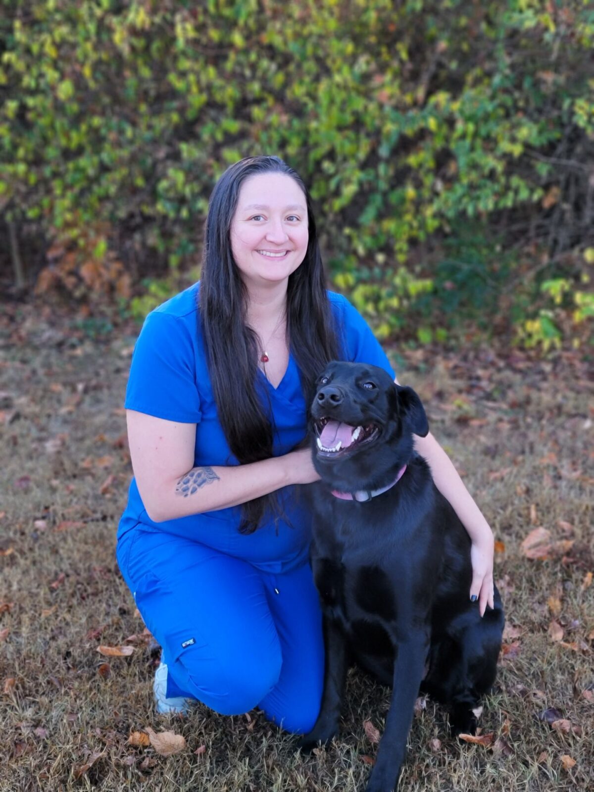 kristen-lvmt-aas-veterinary-technology-applebrook-animal-hospital