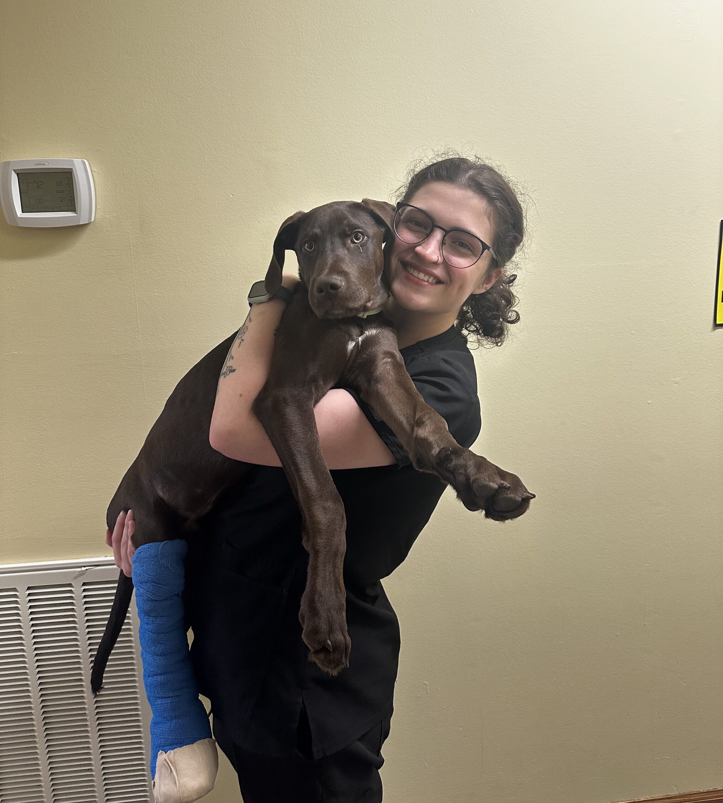 Customer Service Representative at Applebrook Animal Hospital